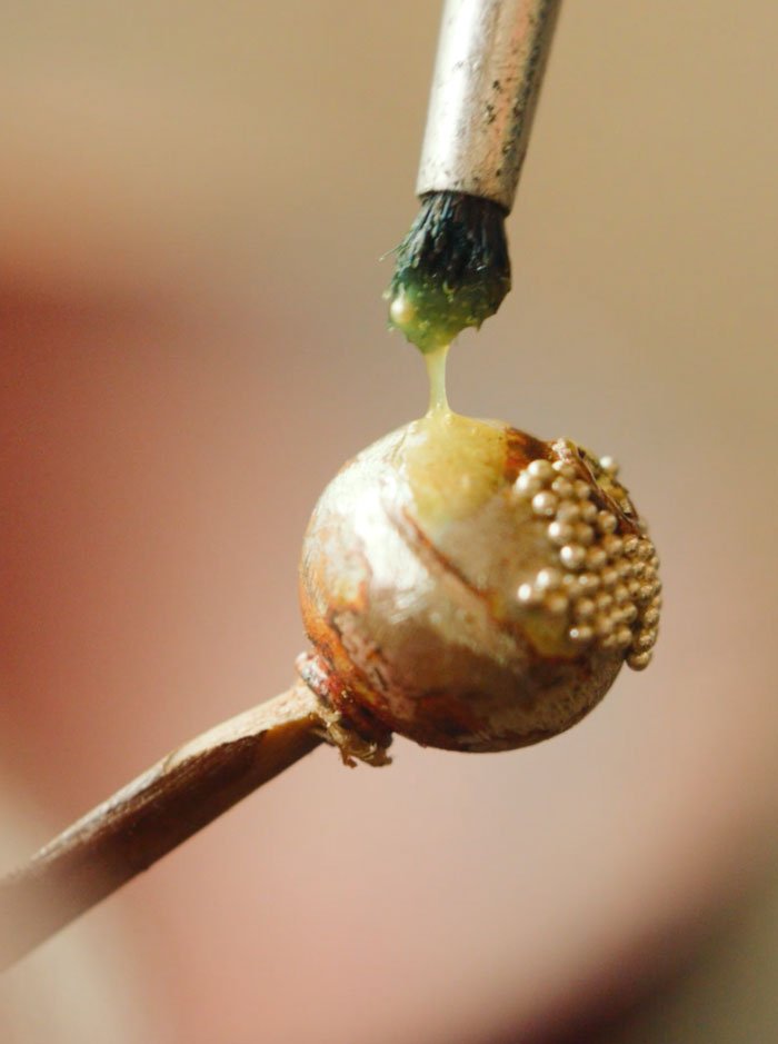 Jawan-Beads-put-on-plong Jawan-Beads-put-on-plong